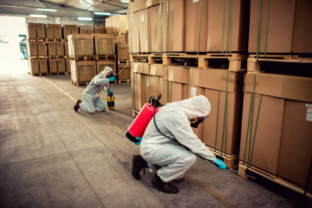 Best Flea Control Services  in Buenaventura Lakes, FL