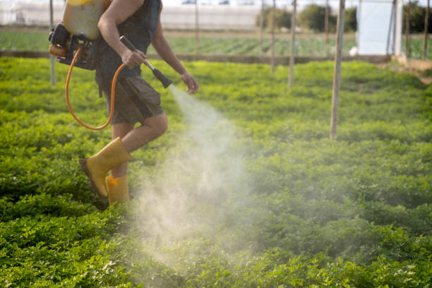 Best Best Pest Control Companies  in Buenaventura Lakes, FL