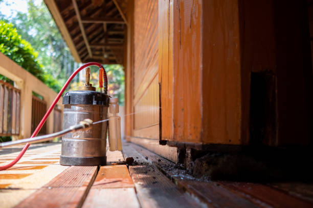 Best Ant Control Services  in Buenaventura Lakes, FL