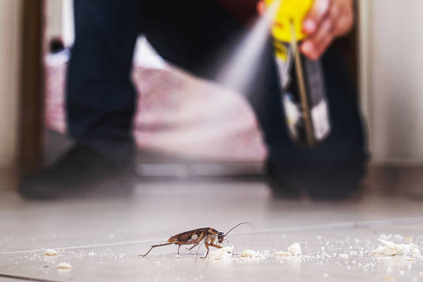 Best Pest Control Near Me  in Buenaventura Lakes, FL
